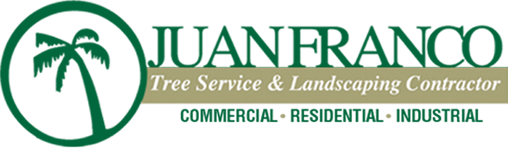 Juan Franco Tree Service - Serving the Community for over 30 Years